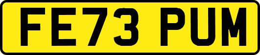 FE73PUM
