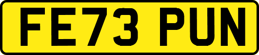 FE73PUN