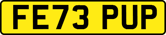 FE73PUP