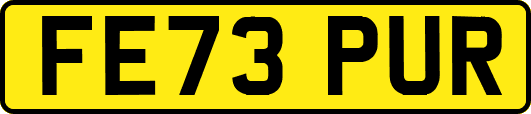 FE73PUR