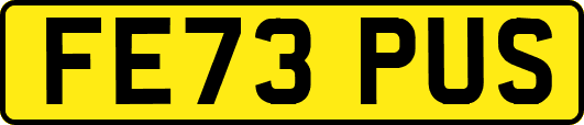 FE73PUS