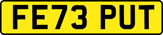 FE73PUT