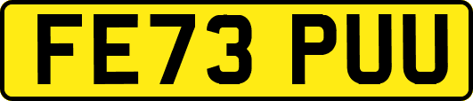 FE73PUU