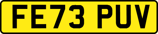 FE73PUV