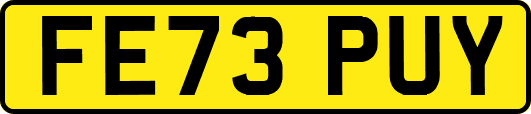 FE73PUY