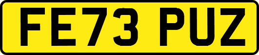 FE73PUZ