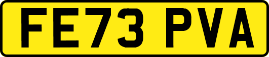 FE73PVA