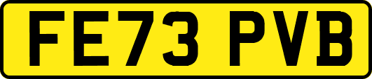 FE73PVB