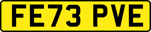 FE73PVE