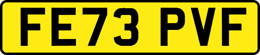 FE73PVF