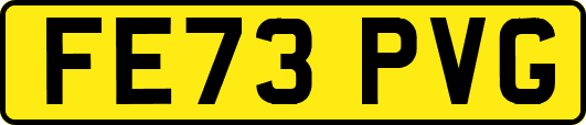 FE73PVG