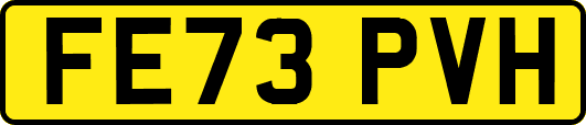 FE73PVH