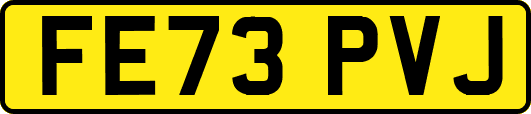 FE73PVJ