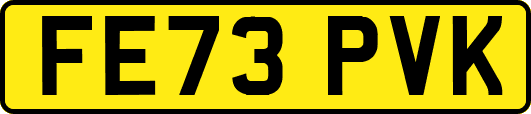 FE73PVK