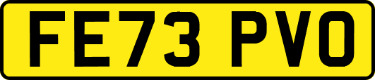FE73PVO