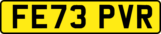 FE73PVR