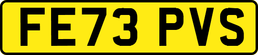 FE73PVS