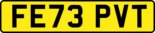 FE73PVT