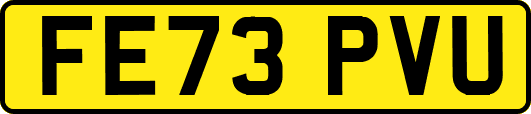 FE73PVU