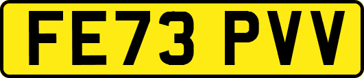 FE73PVV