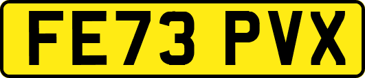 FE73PVX