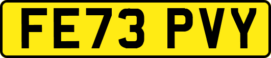 FE73PVY