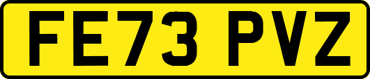 FE73PVZ