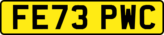 FE73PWC