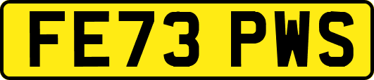 FE73PWS
