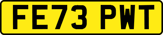 FE73PWT