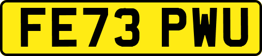 FE73PWU