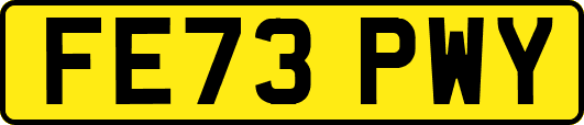 FE73PWY