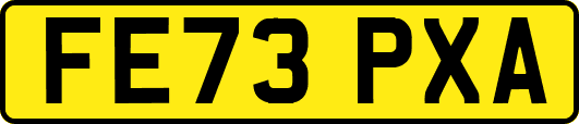 FE73PXA
