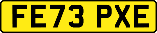 FE73PXE
