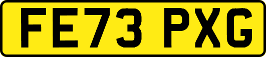 FE73PXG