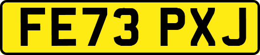 FE73PXJ