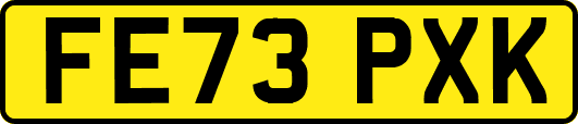 FE73PXK