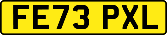FE73PXL