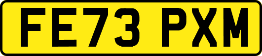 FE73PXM