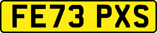 FE73PXS