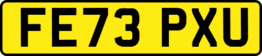 FE73PXU