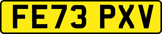 FE73PXV