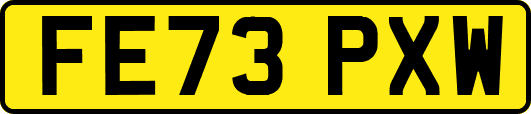 FE73PXW