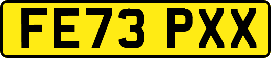 FE73PXX