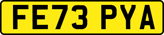 FE73PYA