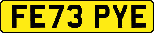 FE73PYE