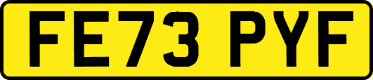 FE73PYF