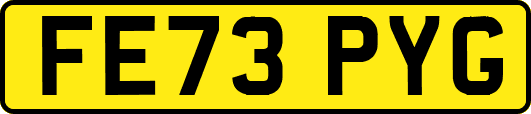 FE73PYG