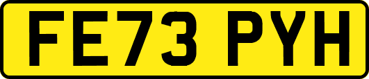 FE73PYH