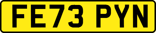 FE73PYN